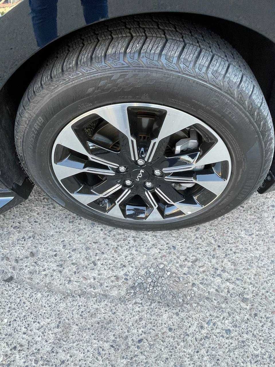 Kia carnival hi limusine