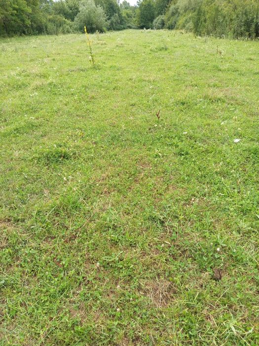 Teren intravilan de vânzare la Negrești oas