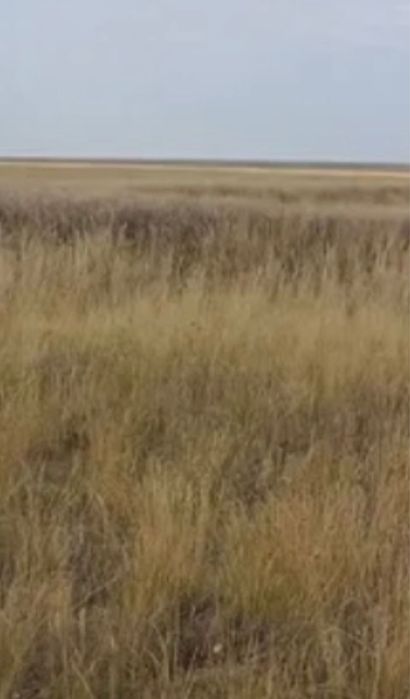 Участок Большой 1000га