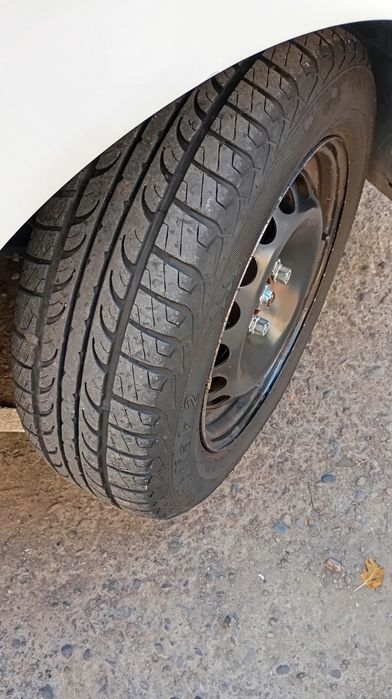 14 diska balon, obmen variant bosa tashela,