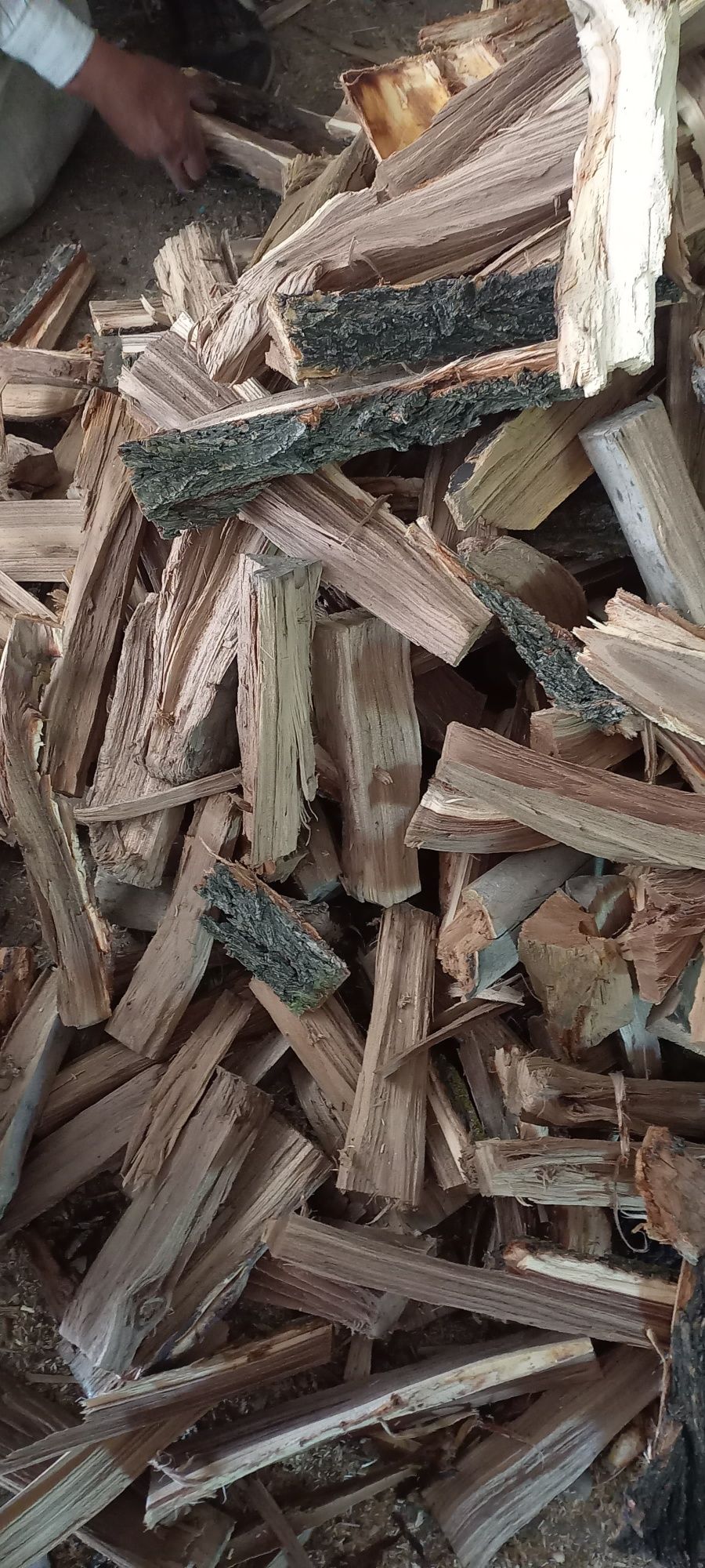 Продам дрова для шашлыка.