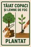 Taiat copaci, lemne de foc, plantare arbori si florale