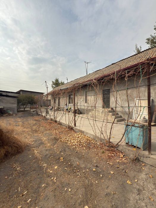 Lelinizimda Birinchi Liniyada Kotta xovli zudlik bilan sotiladi