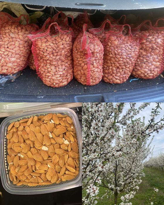 Migdale  dulci romanesti  in coajă sau miez din livadă proprie