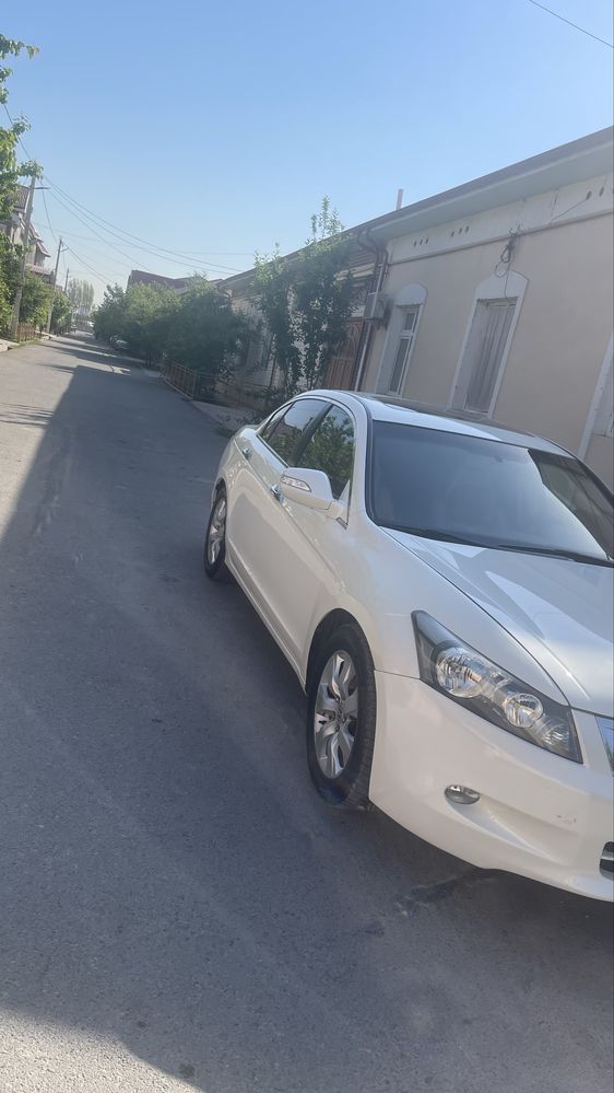 Honda accort 2008 yil 320 mng