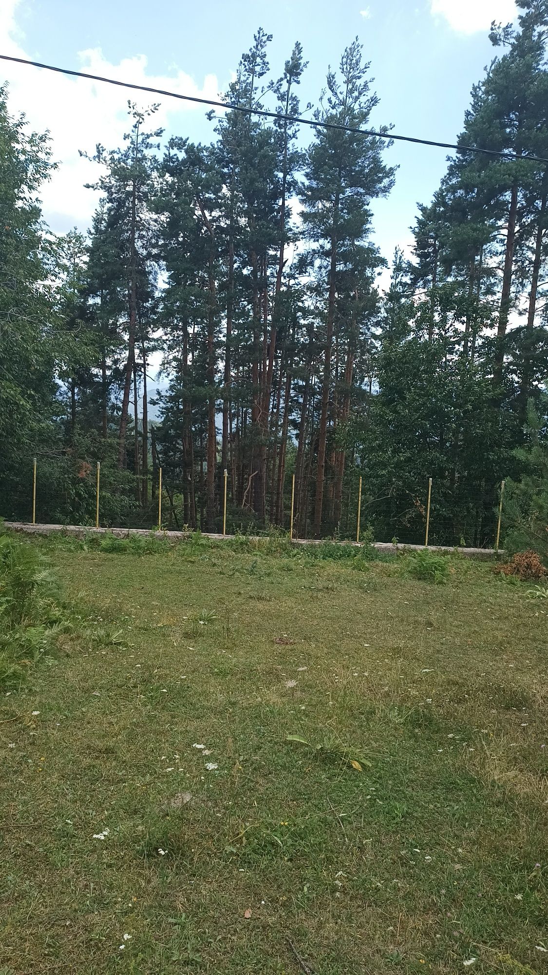 Продавам 5500 кв.м в регулация до Пампорово