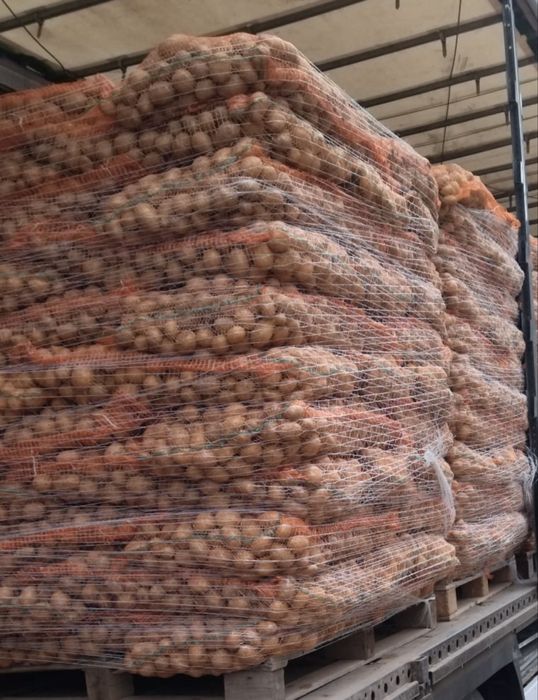 Cartofi de samanta albi Carrera extratimpurii clasa I 1