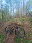 bicicleta hardtail cube ltd pro 29"