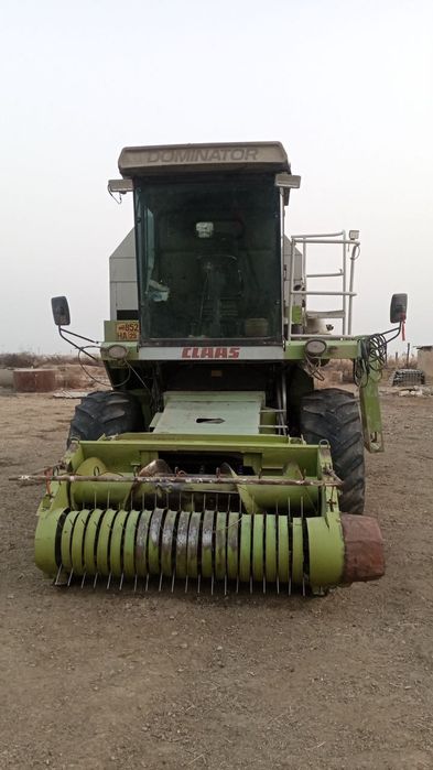 Kanbayim alo xolatda