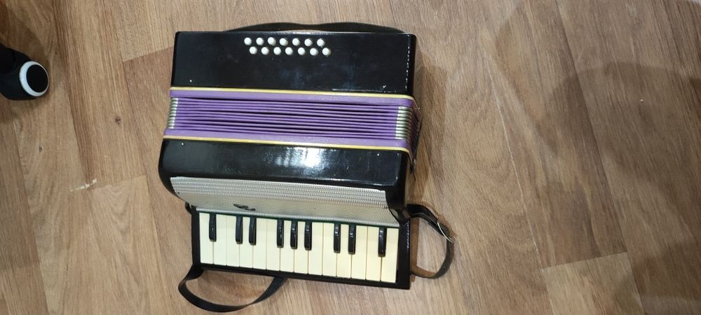 Одноголосный детский аккордион