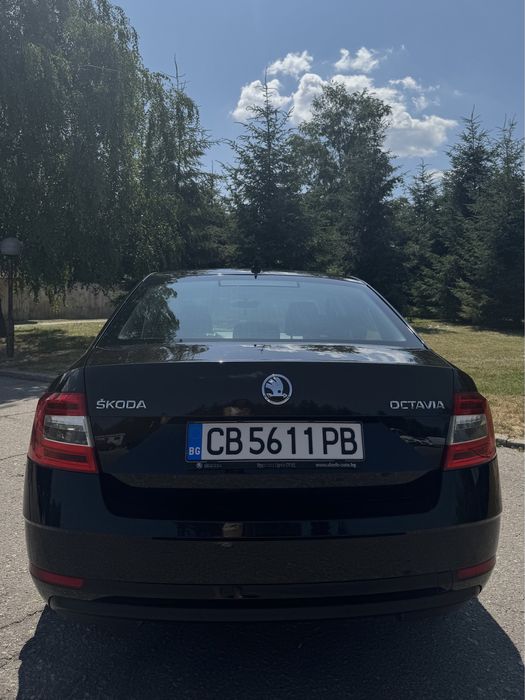 Skoda Octavia 1.6 tdi 11.2019 много запазена