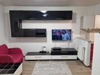 Apartament 1 camera Pacurari 350E