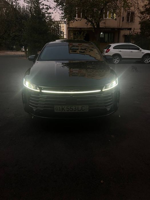 Byd chazor fulli