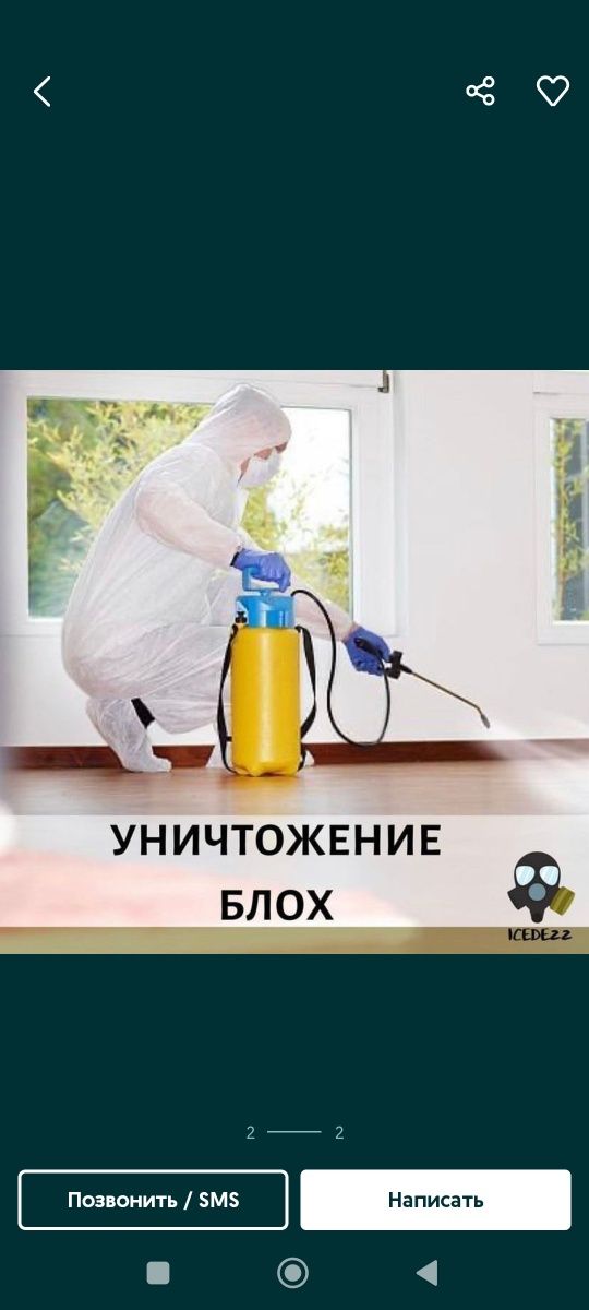 дезинфекция дезинфекция