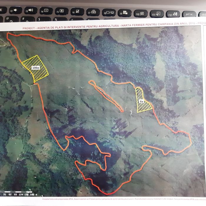 Teren si casa de vanzare