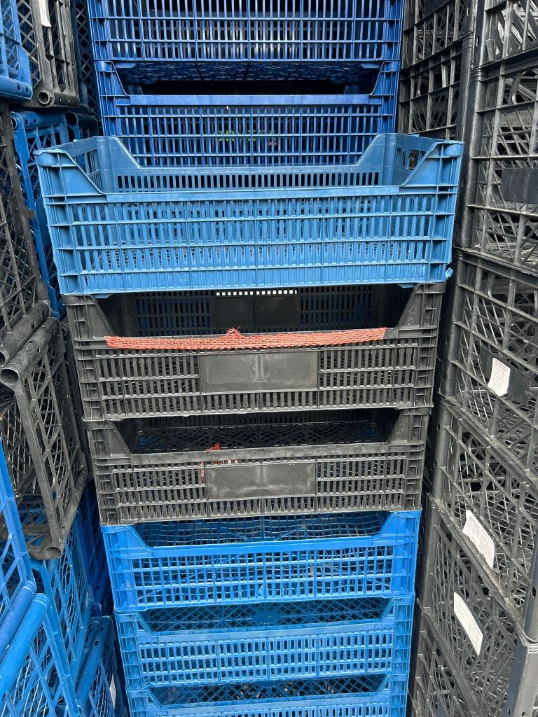 Ladite pentru fructe si ciuperci