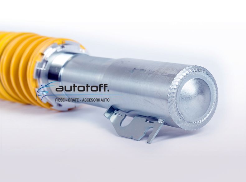 Suspensie sport reglabila Porsche Cayman (05-13) FK Germania