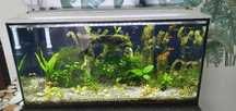 Acvariu 112 litri 80 35 40 complet