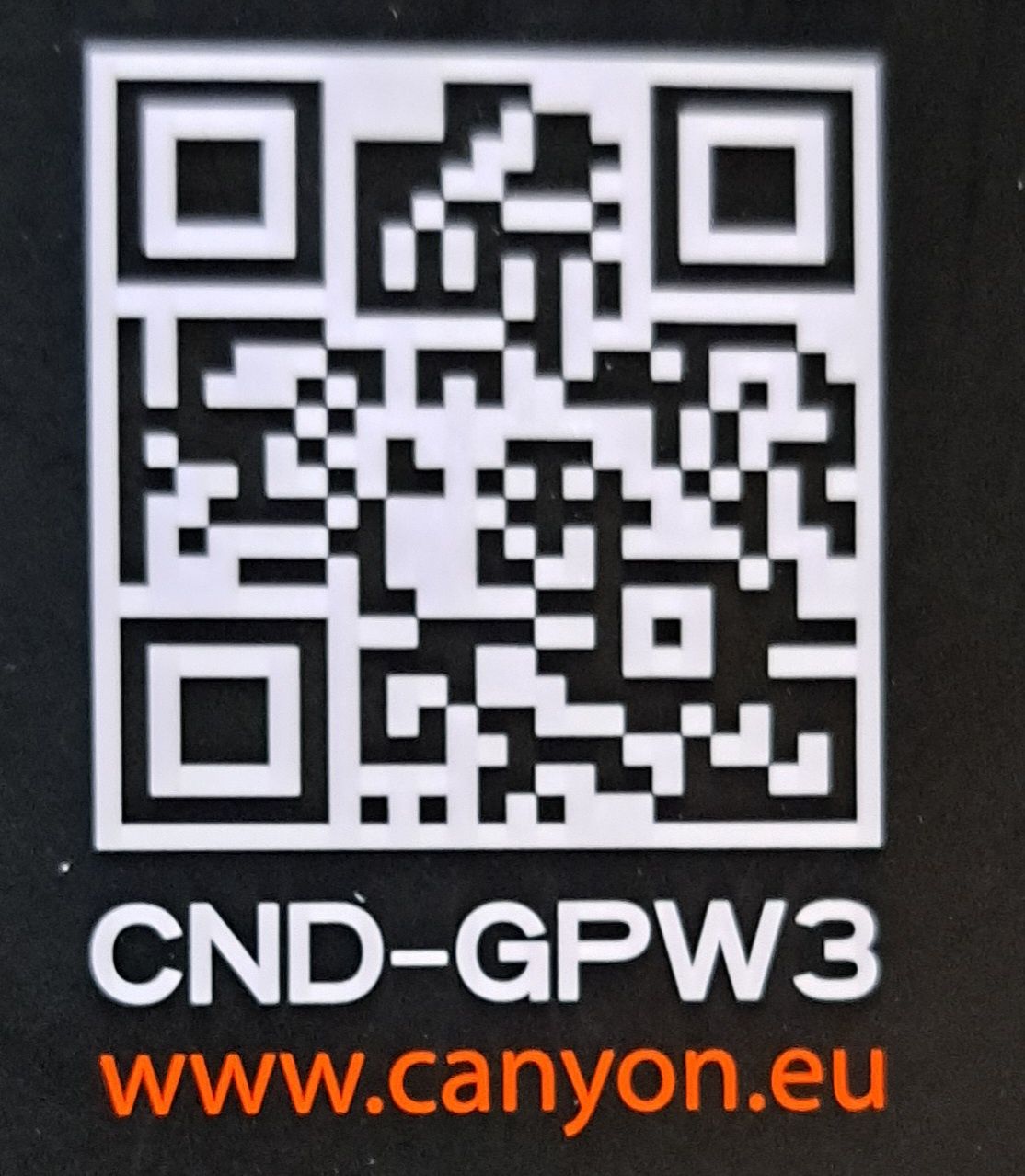 Геймпад Canyon 4в1 безжичен GP-W3