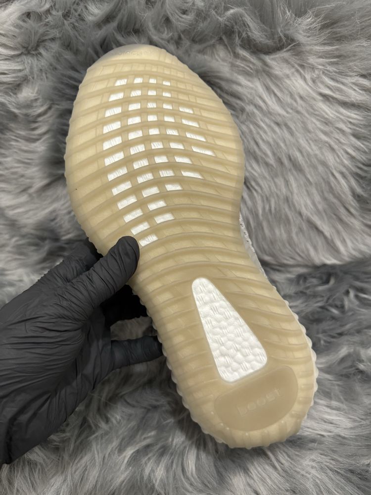 36-46 Yeezy 350 v2 Tail Light