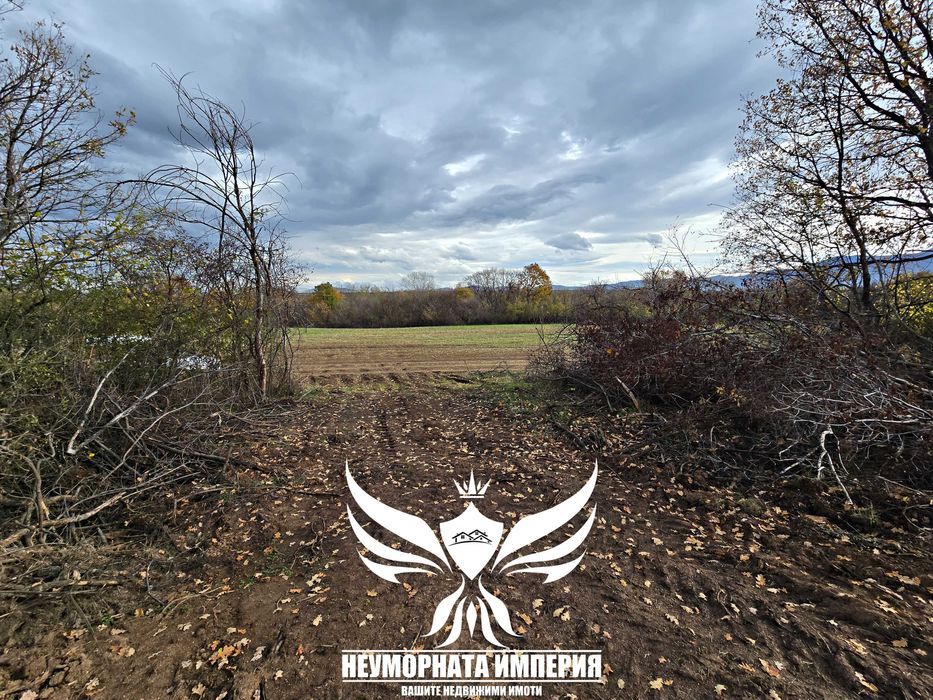 Продавам два броя земи в село Стоево 1120кв.м.  общ.Асеновград