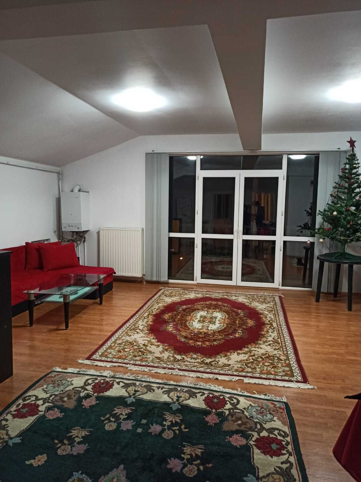 Cazare apartament Sinaia