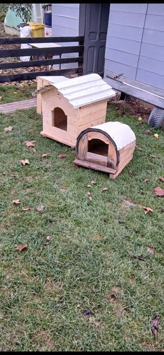 Cuști pt çătei si pisici