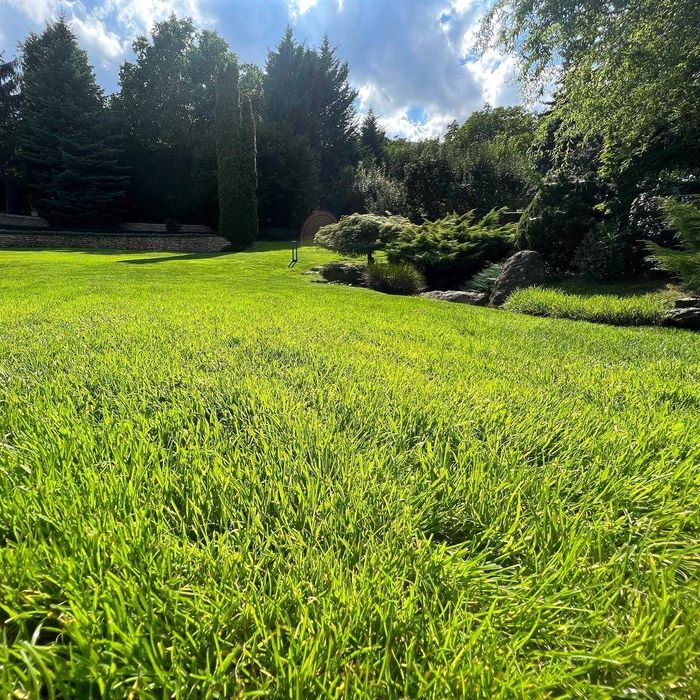 Поддръжка на градини в София  от Mr.Donchev