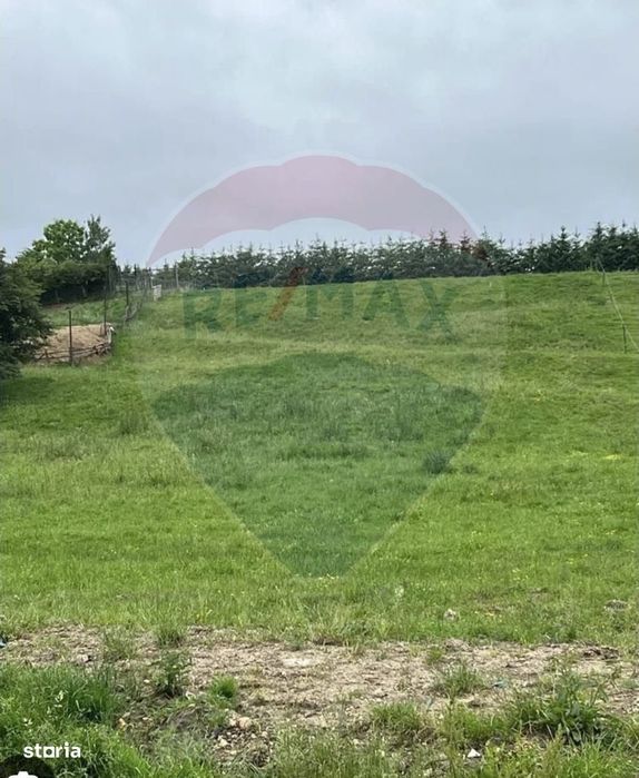 Pasune 21 ha pretabila pentru panouri fotovoltaice,impadurit