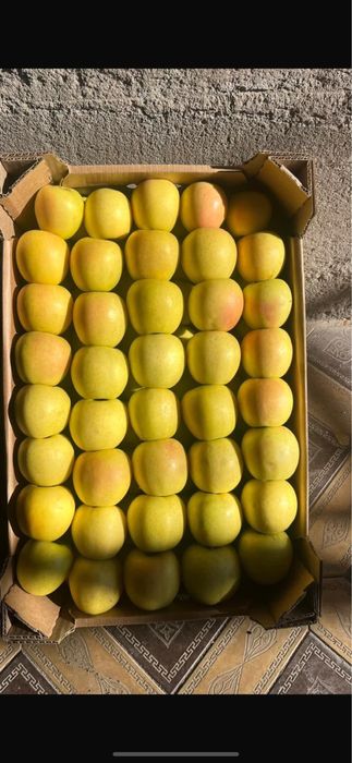 Яблоки  оптом готовый