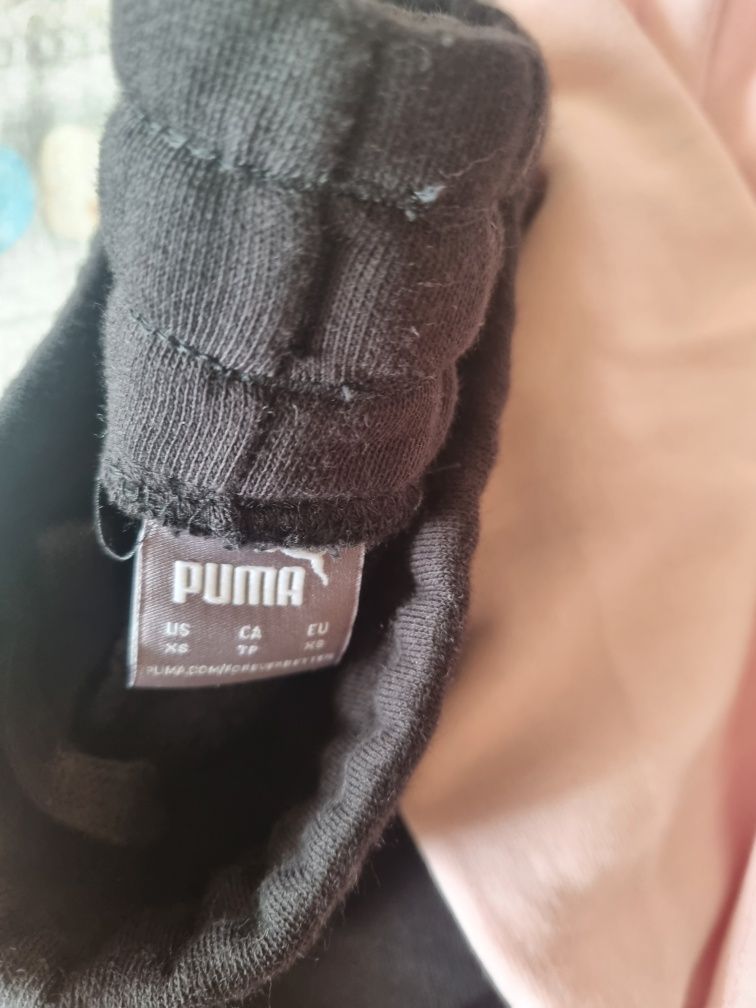 Trening puma nou