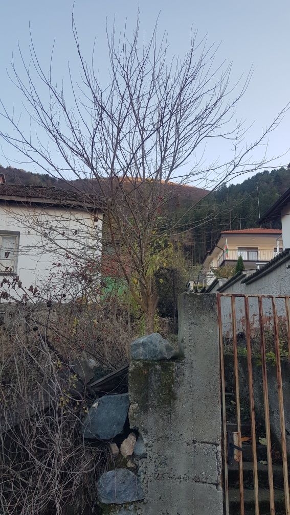 Продава се Къща в Сапарева баня - 60 кв.м за 2250 €/кв.м - Снимка #1