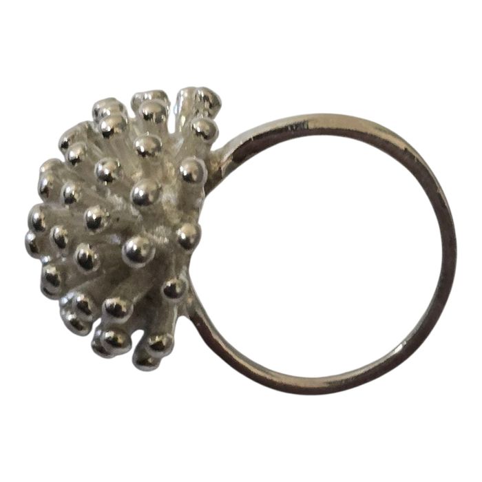 Inel argint deosebit