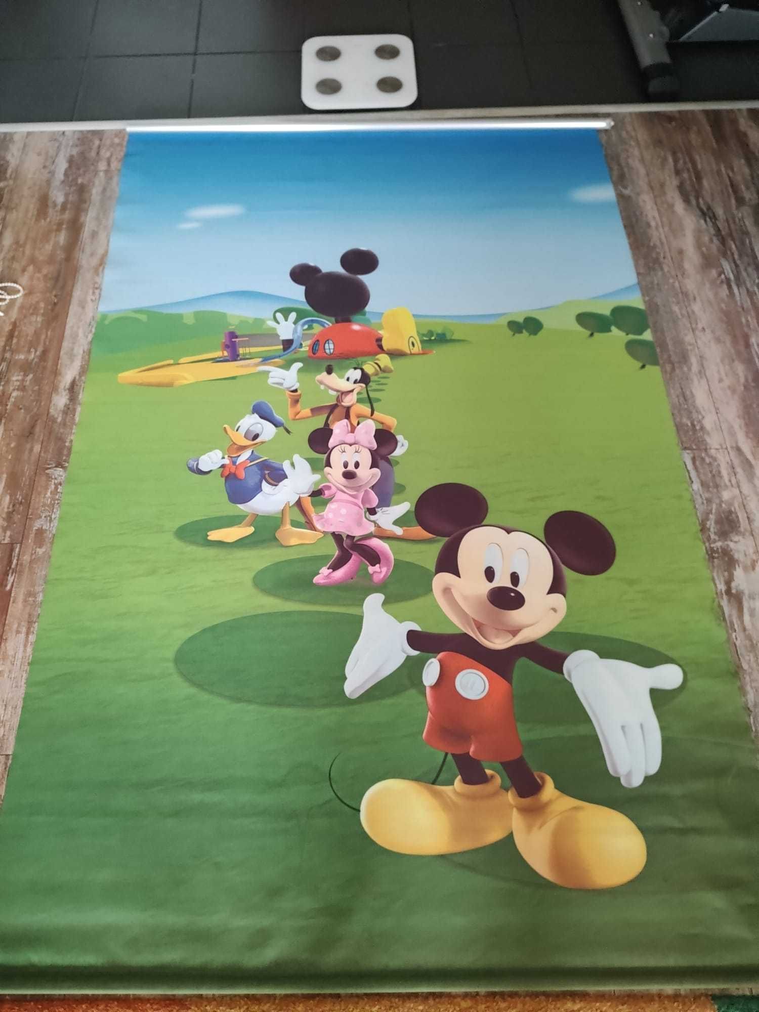 Roleta OPACA tip Jaluzea cu Rulou si sistem inclus DISNEY 120X180CM