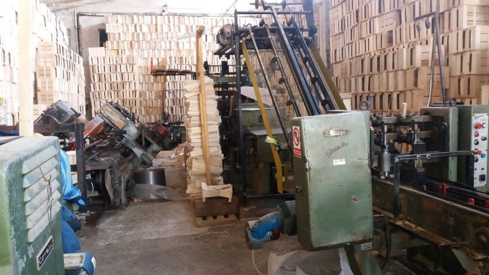 Linie pentru fabricarea de ambalaje din lemn de plop, ladite lemn