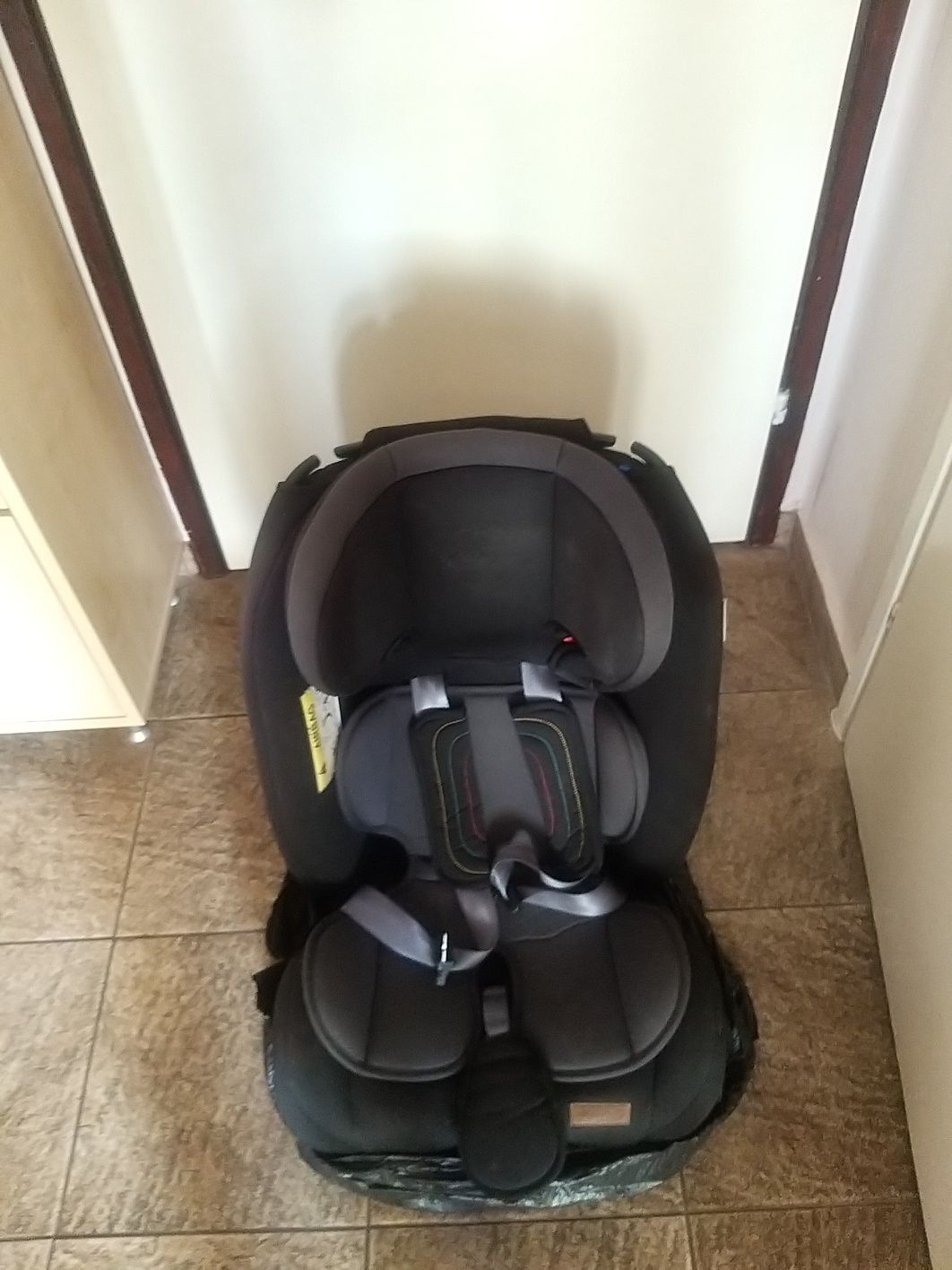 Столче за кола CHIPOLINO Корсо (0-36 кг) карбон