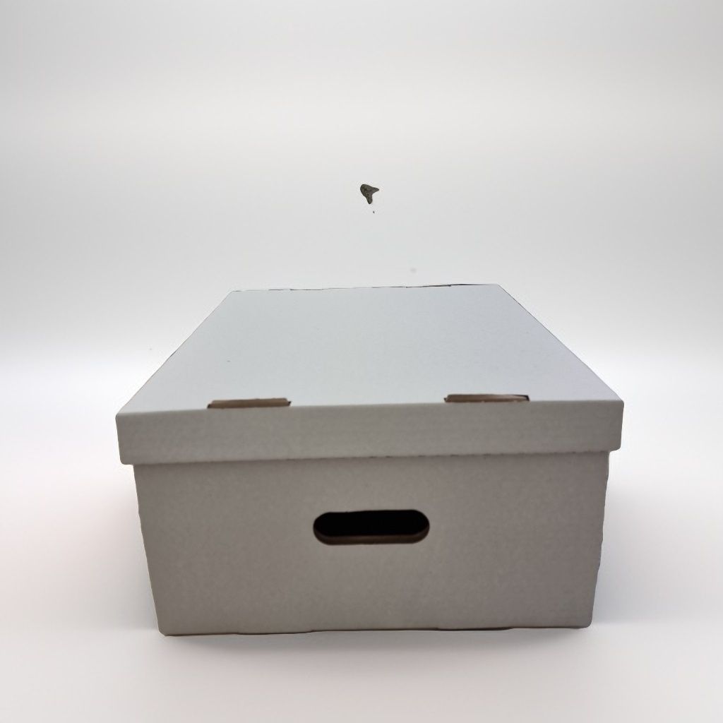 34х34х20 см белая коробка с крышкой с ручками