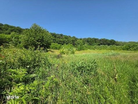 Teren Duda Epureni, ID: R2609594