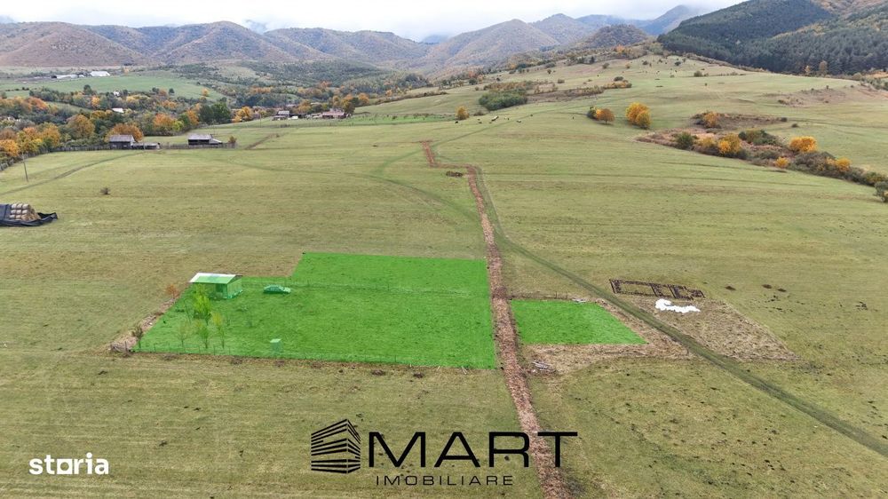 Teren  extravilan 2500 mp in Orlat