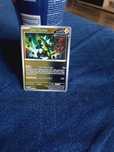 Iron Thorns pokemon valuare 70