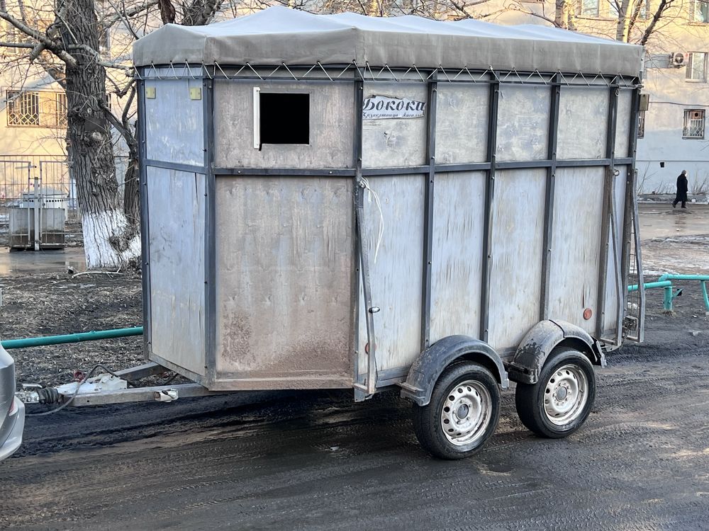 Прицеп. Коневозка
