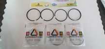 Set Segmenti- Set Garnituri Motoare Lombardini-Acme