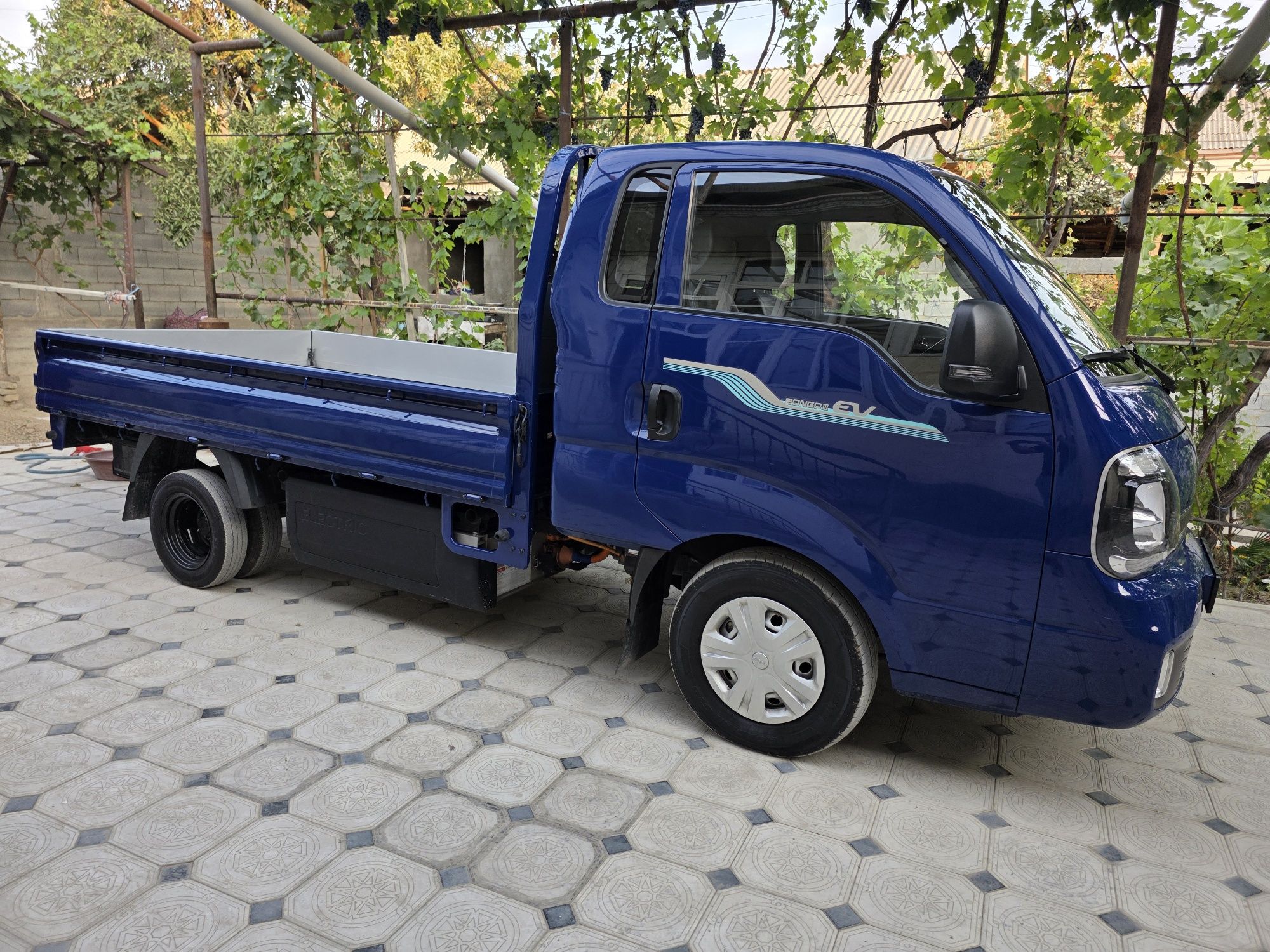 Kia Bongo Electro 2022/08