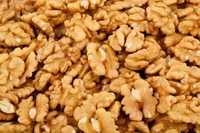 Грецкие орехи очищенные оптом от 10 кг и выше по 1950 тенге