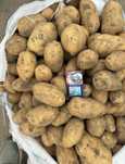Продам Картофель от Кх без посредников.  Также ест полторашка и семено