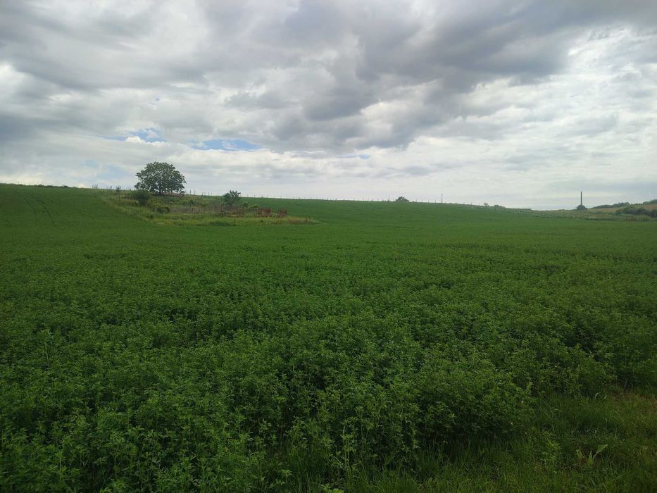 Vand  3 hectare teren extravilan cu balta in Biharia