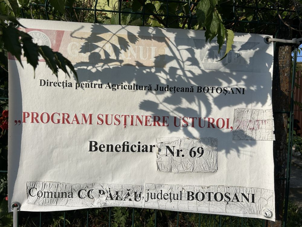 USTUROI DE COPĂLĂU – 100% BIO, românesc autentic!