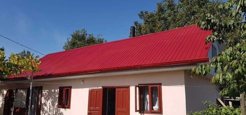 Vopsim orice model de tablă pe acoperiş