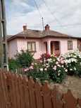 Vând casă bătrânească în comuna Ciorăşti