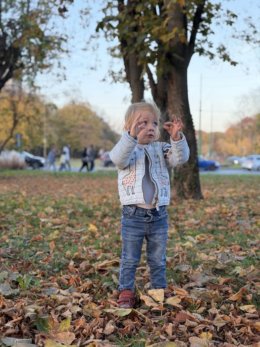 Aparat lapte Baby Brezza